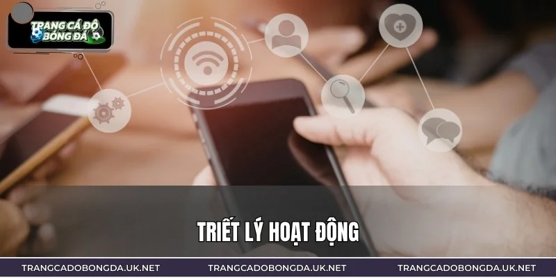 Triết lý làm việc dựa trên sự minh bạch và tính khách quan